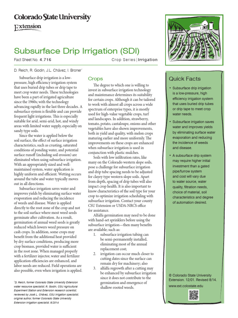 Subsurface Drip Irrigation (SDI) : Crops | PDF