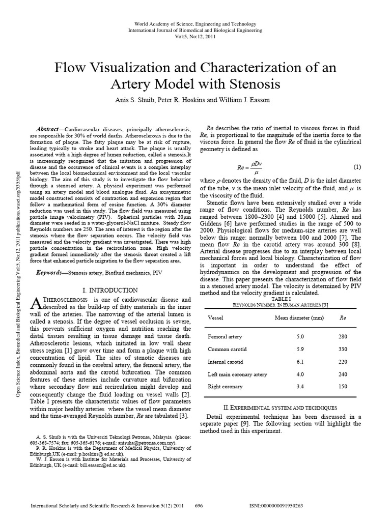Flow Visualization and Characterization | PDF
