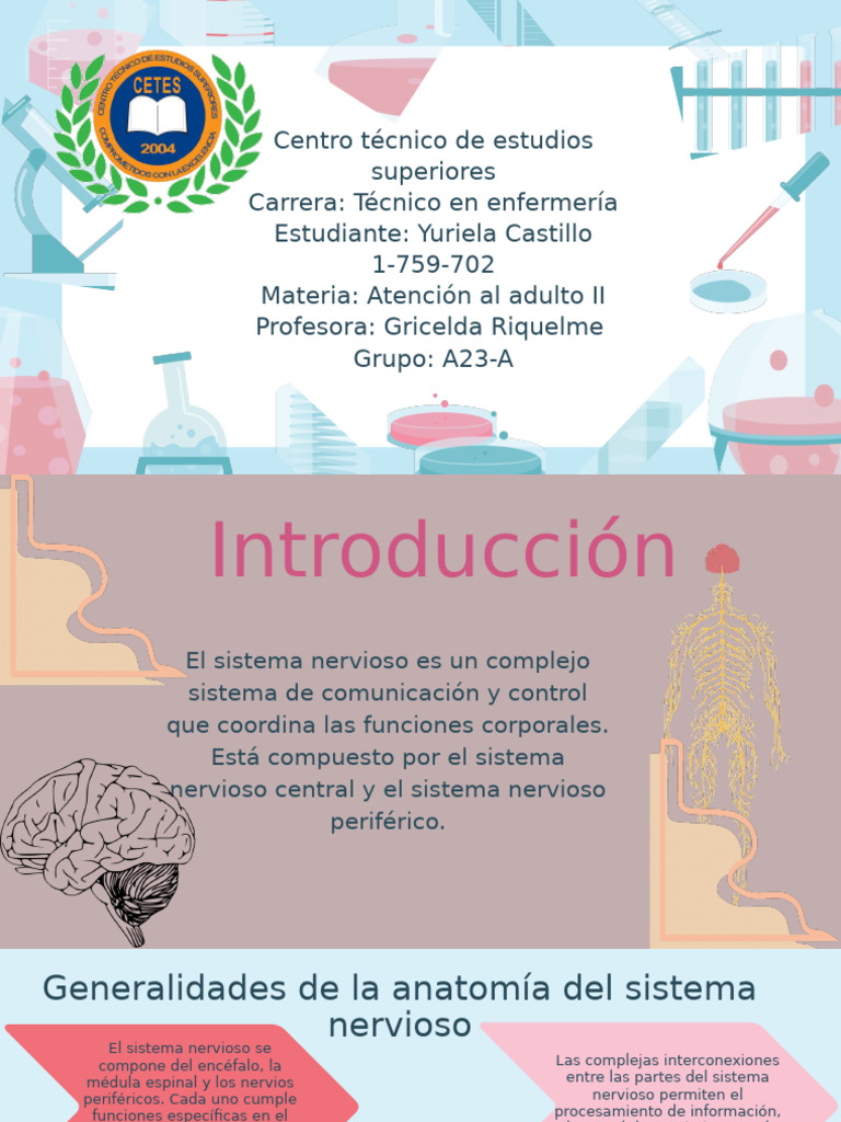 Yuriela Castillo | PDF