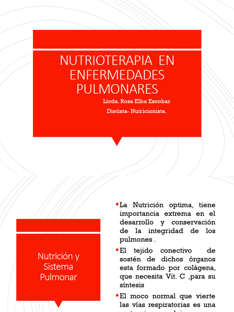 Enfermedades Pulmonares 2024 | PDF