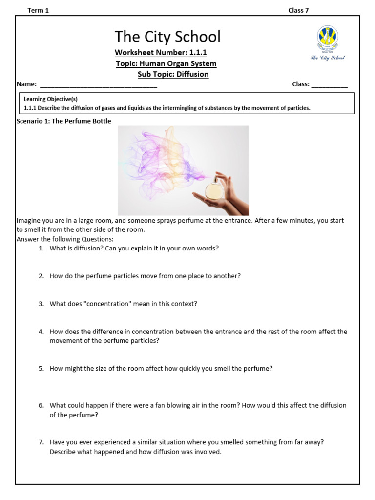 WS 1.1.1 | PDF