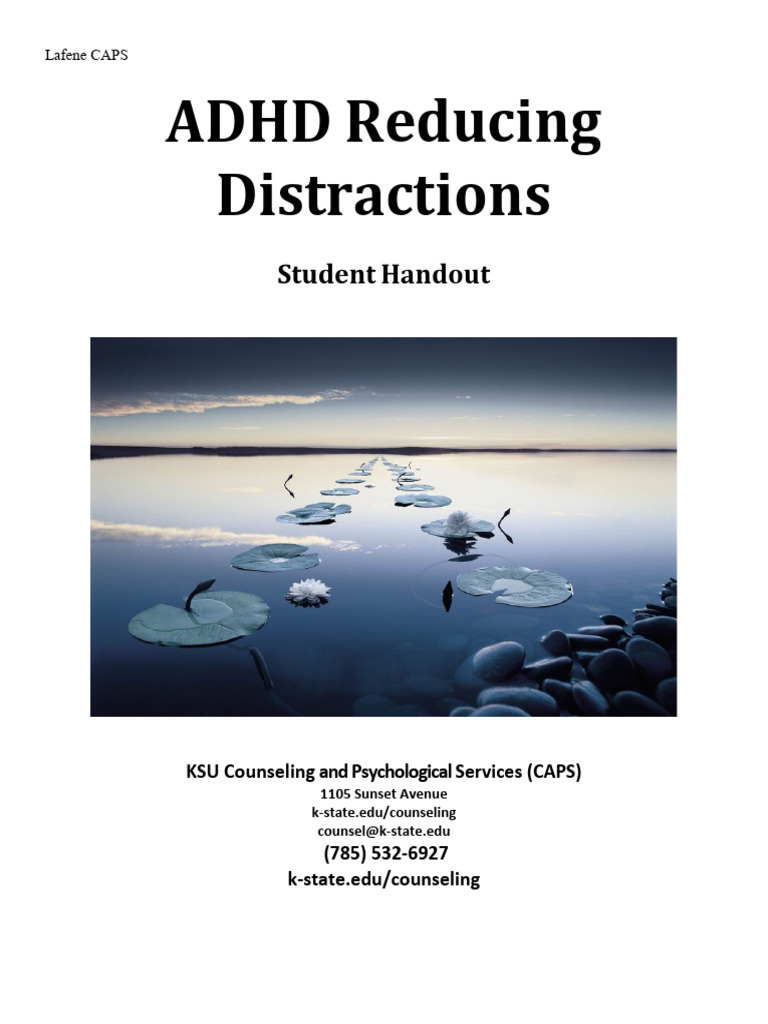 ADHD Distraction Reduction Strategies | PDF | Attention Deficit ...