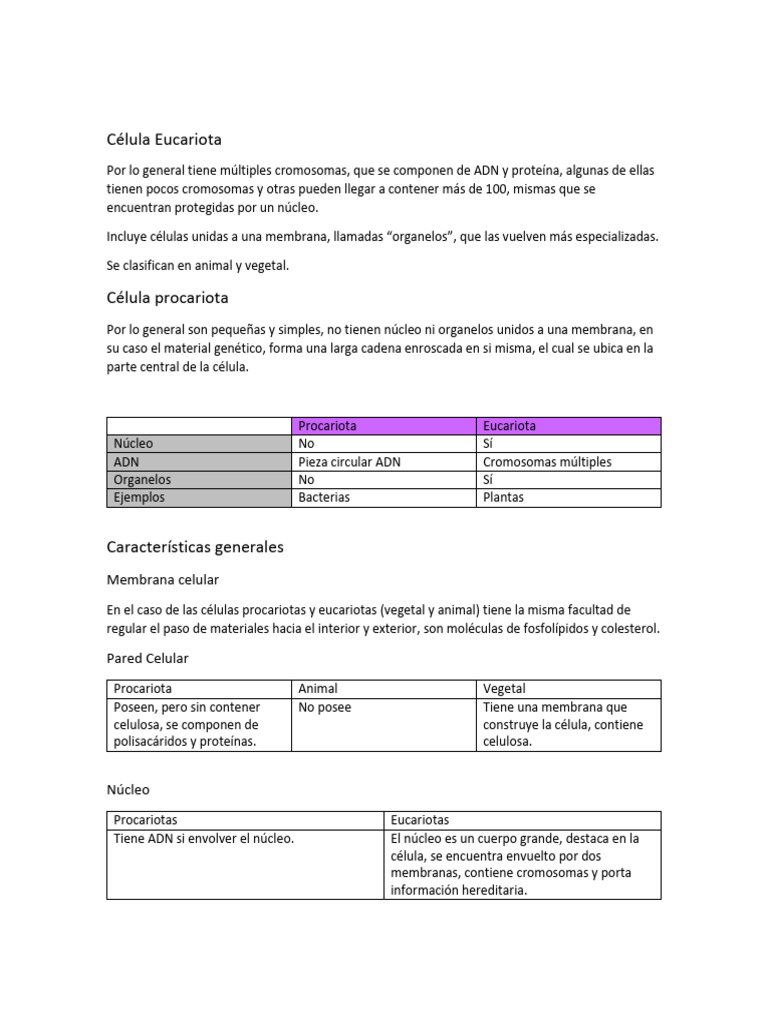 Estructuras de Las Células Procariotas y Eucariotas | PDF