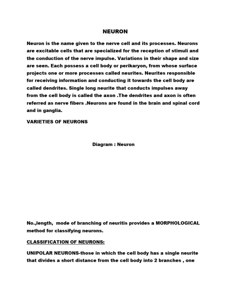Neuron 1 | PDF