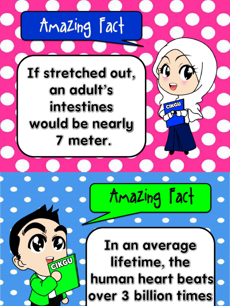 Amazing Fact | PDF