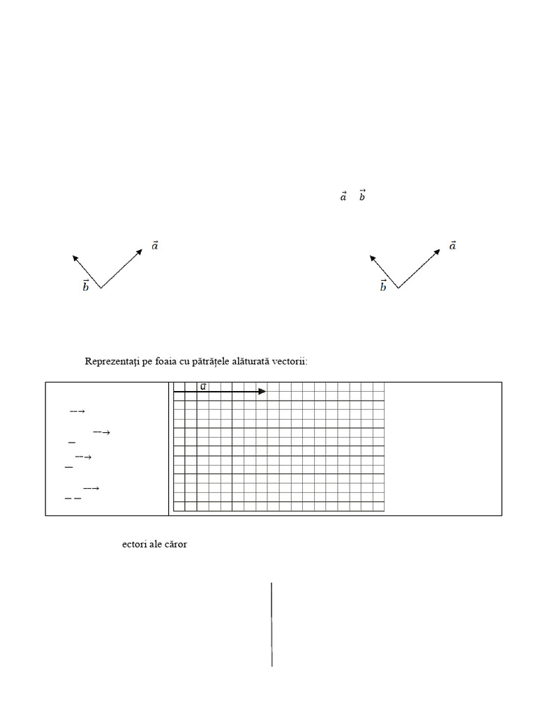 Test 2 Vectori Clasa A Ixa | PDF