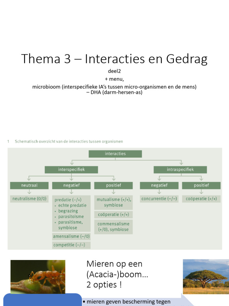 08 - Thema 3 (Interactie en Gedrag) - Deel2 | PDF