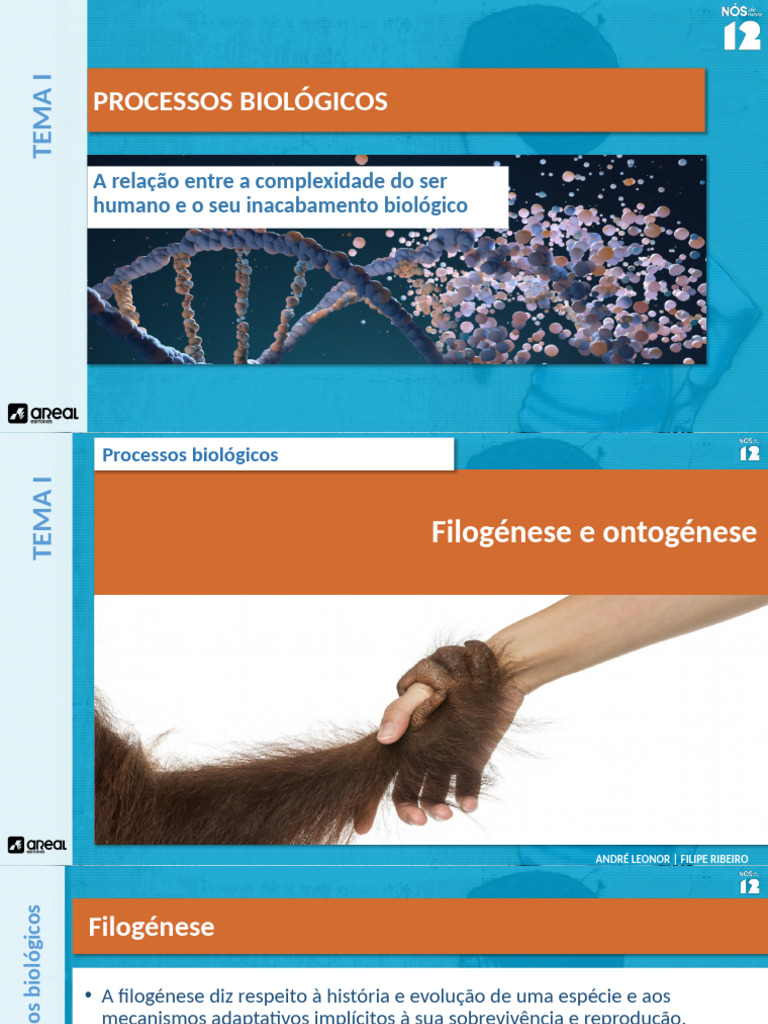 Filogénes e Ontogénese Psicologia12 | PDF