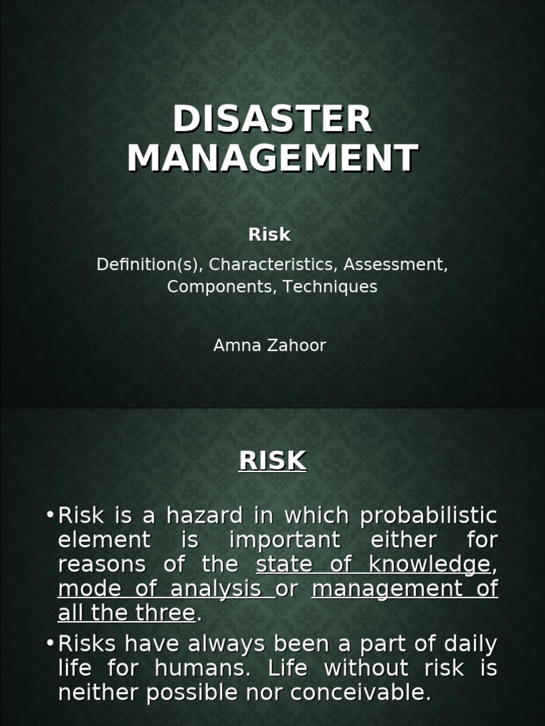 Disaster Risk Assessment | PDF