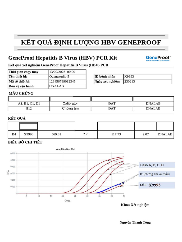 PKQ HBV Word | PDF
