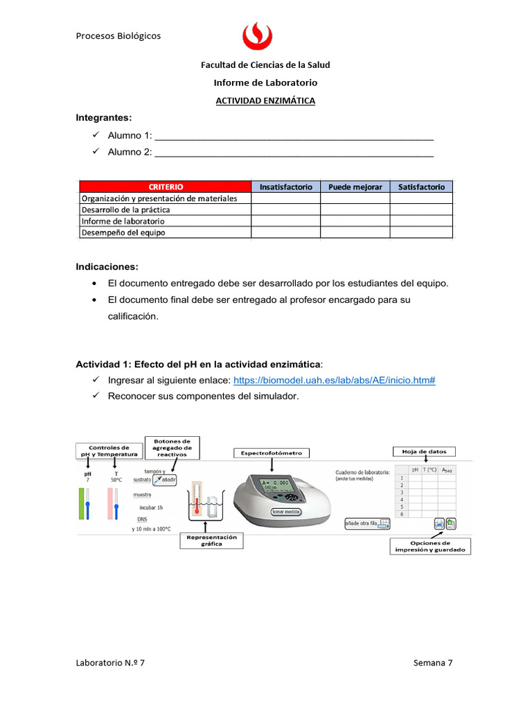 Lab07 - Ficha de Trabajo | PDF