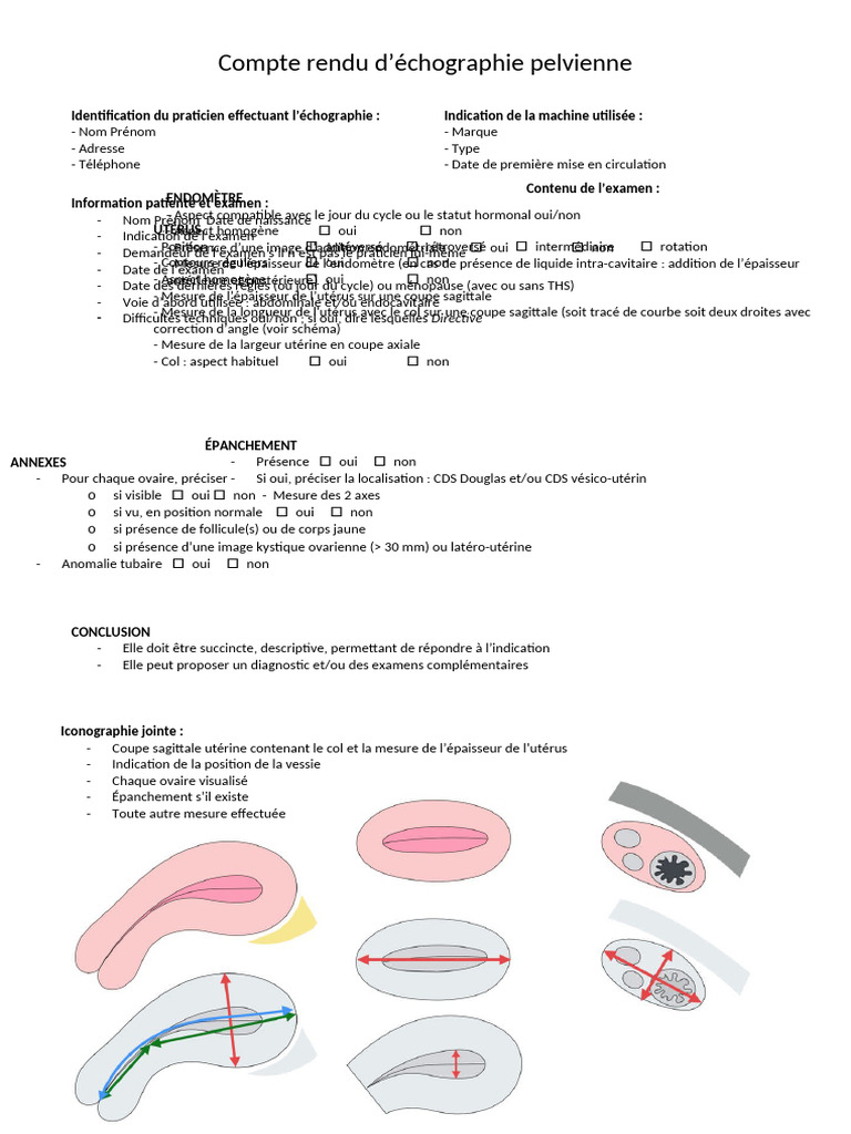 CR Echo Pelv STD | PDF