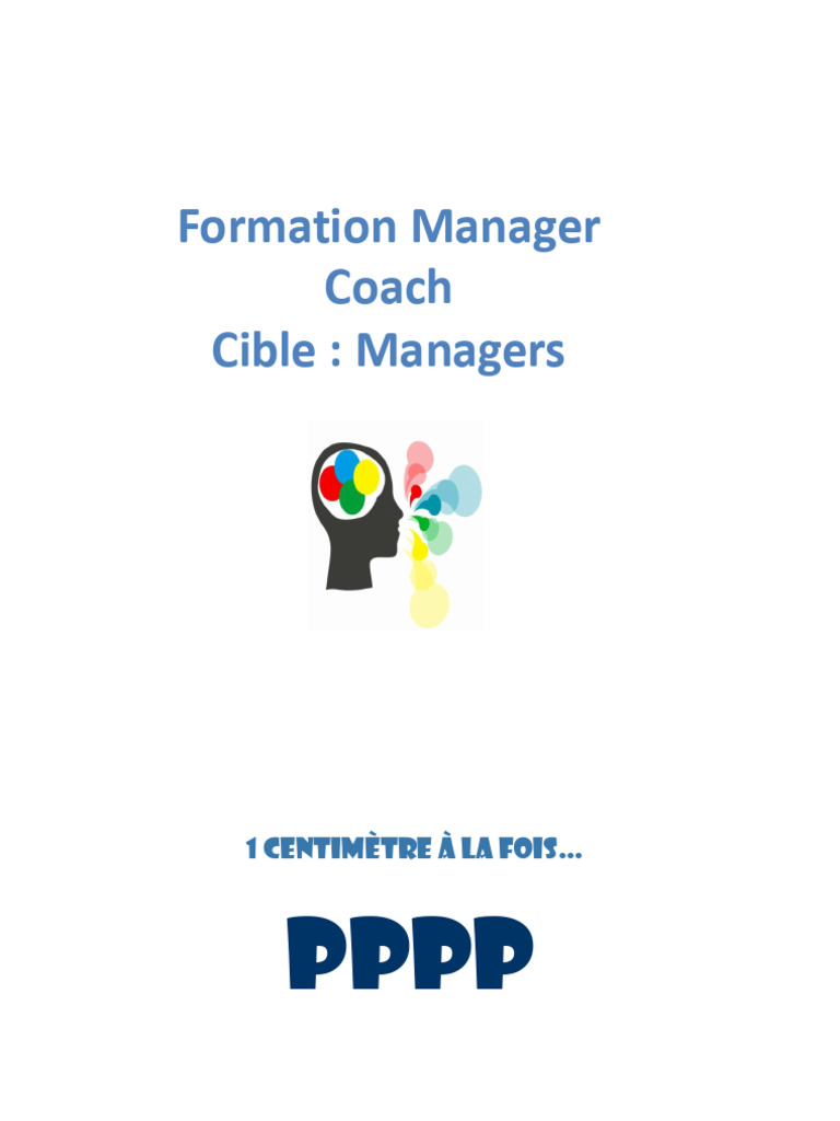 DISC Management & Coaching Guide | PDF