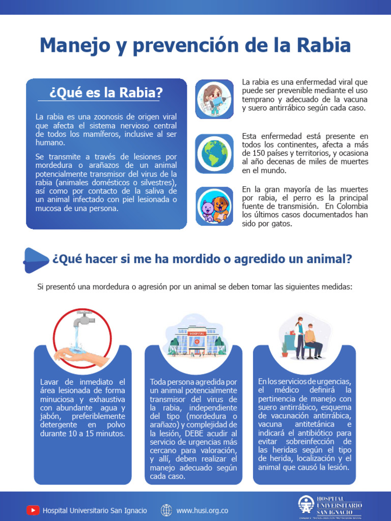 Recomendaciones Rabia-Comprimido | PDF