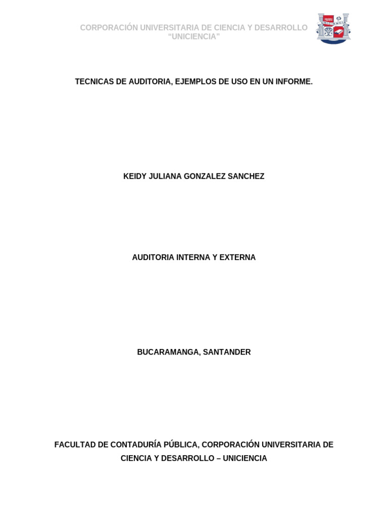 Tecnicas De Auditoria Pdf