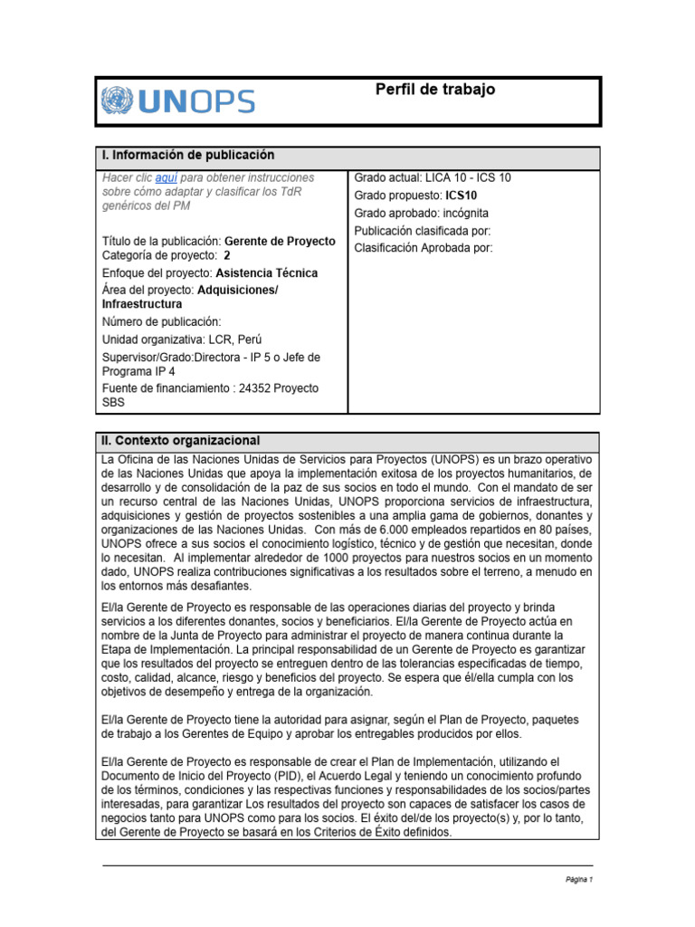 Project Manager Generic ToR Jun2020 - SBS - ES | PDF