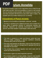 Download Phylum Annelida 4 by Ahmed Oraby SN77450578 doc pdf