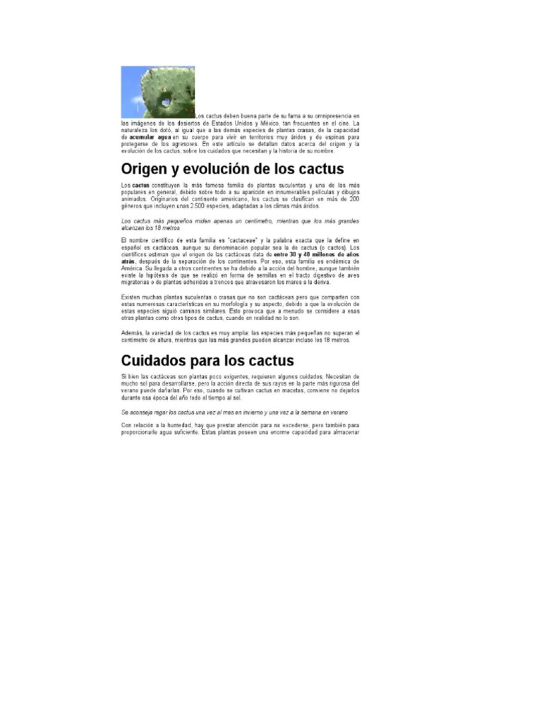 Cactus | PDF