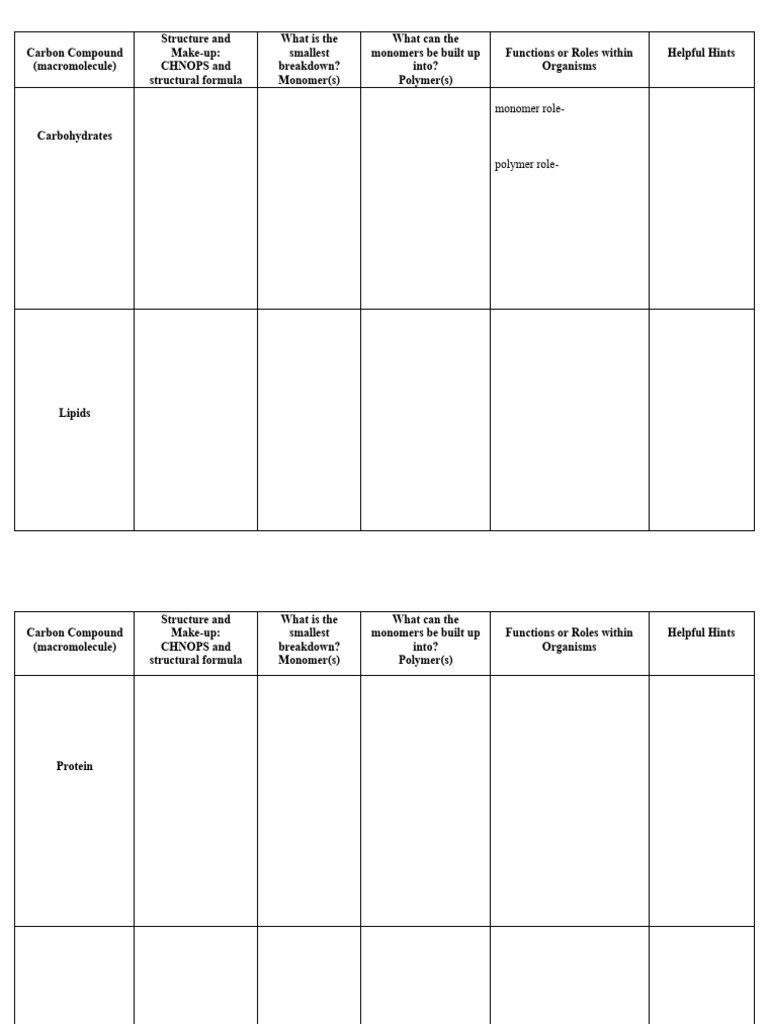 Macromolecule Chart JLW PDF