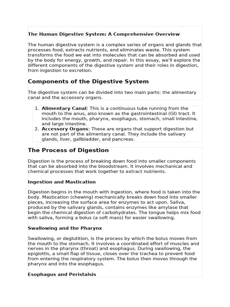 The Human Digestive System | PDF