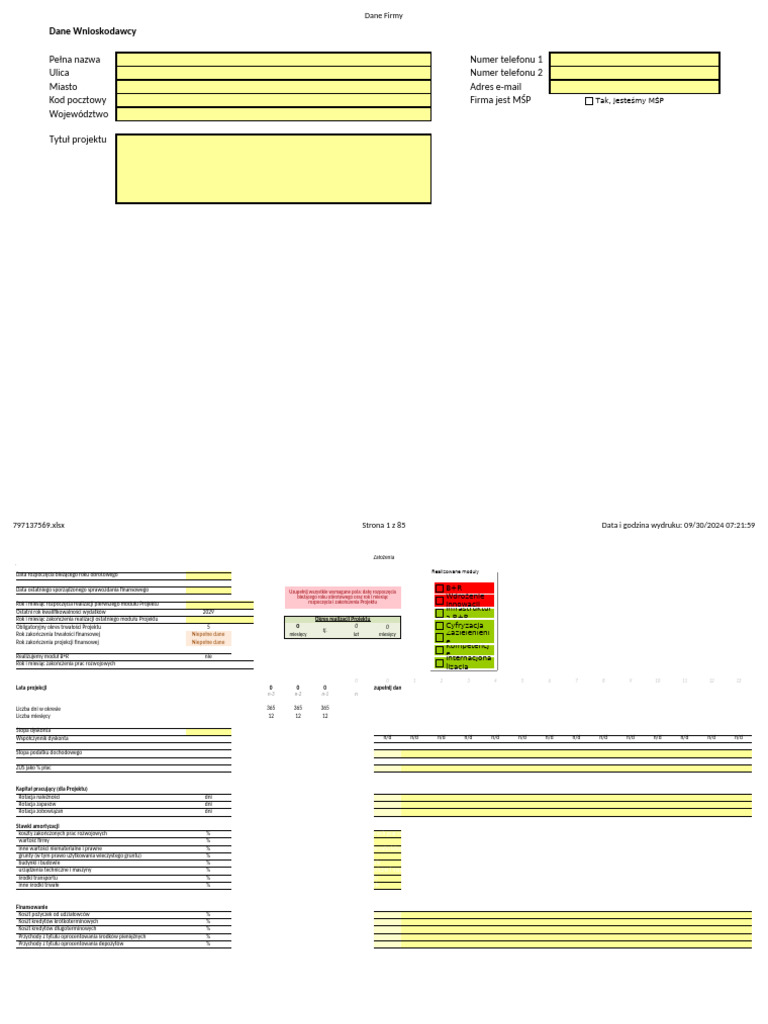 Zal 5 Do RWP Model Finansowy | PDF