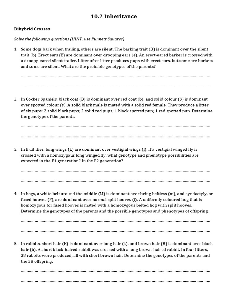 Topic 10.2 Worksheet | PDF