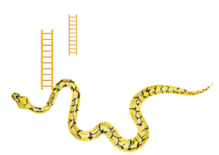 Colorful Bold Beginning Sound Snake and Ladder Document | PDF