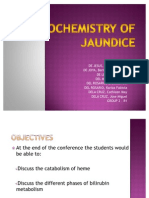 Biochemistry of Jaundice 03