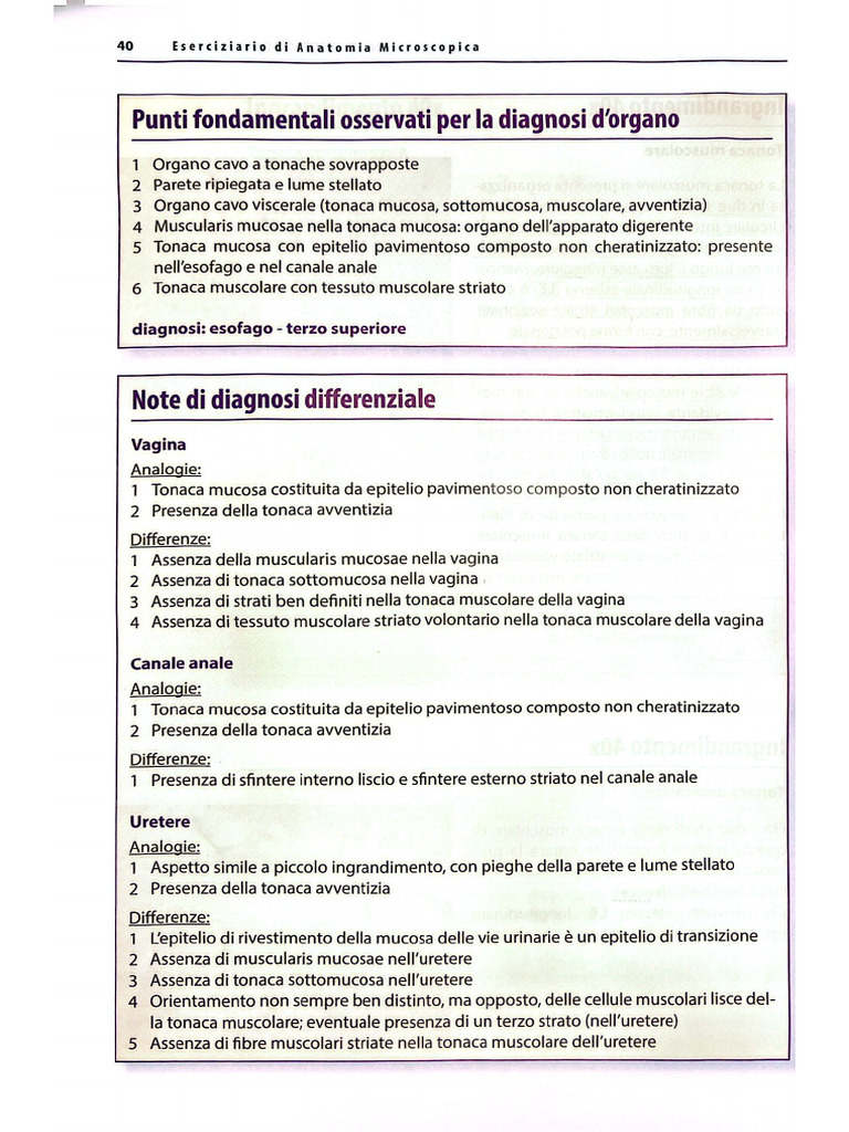 Schemi Per Diagnosi Differenziale | PDF