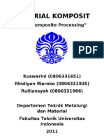 Nanocomposite Processing