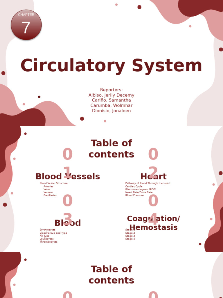 Chapter 7 Circulatory System | PDF