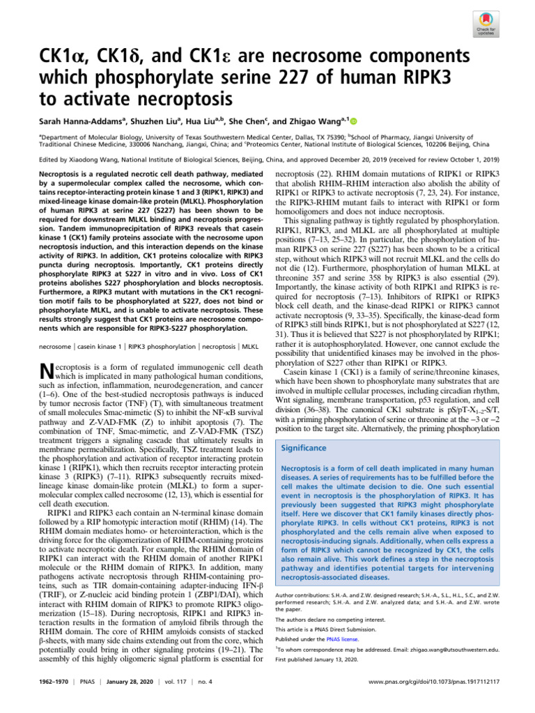 CK1 Kinases Activate Necroptosis | PDF | Cell Signaling | Macromolecules