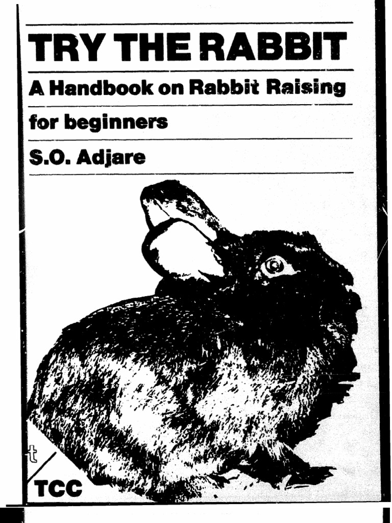 Beginner's Guide to Rabbit Raising | PDF | Rabbit | Cabbage