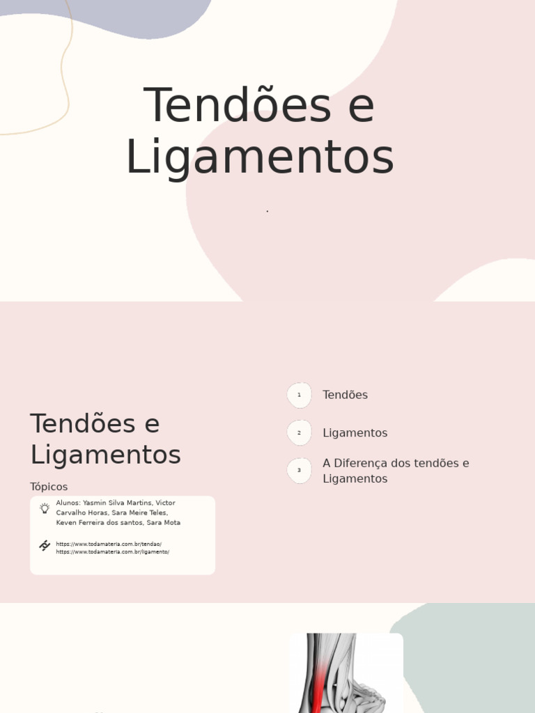 Tendões e Ligamentos: Funções e Tipos | PDF | Tendão | Joelho