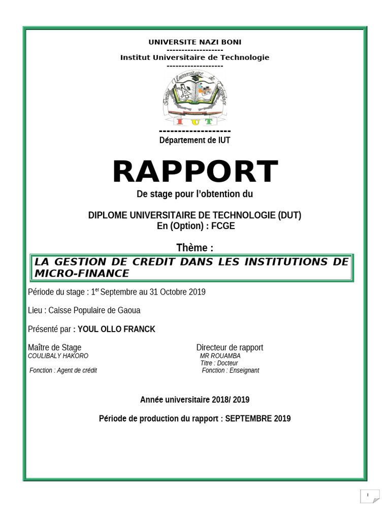 Rapport: de Stage Pour L'obtention Du Diplome Universitaire de ...