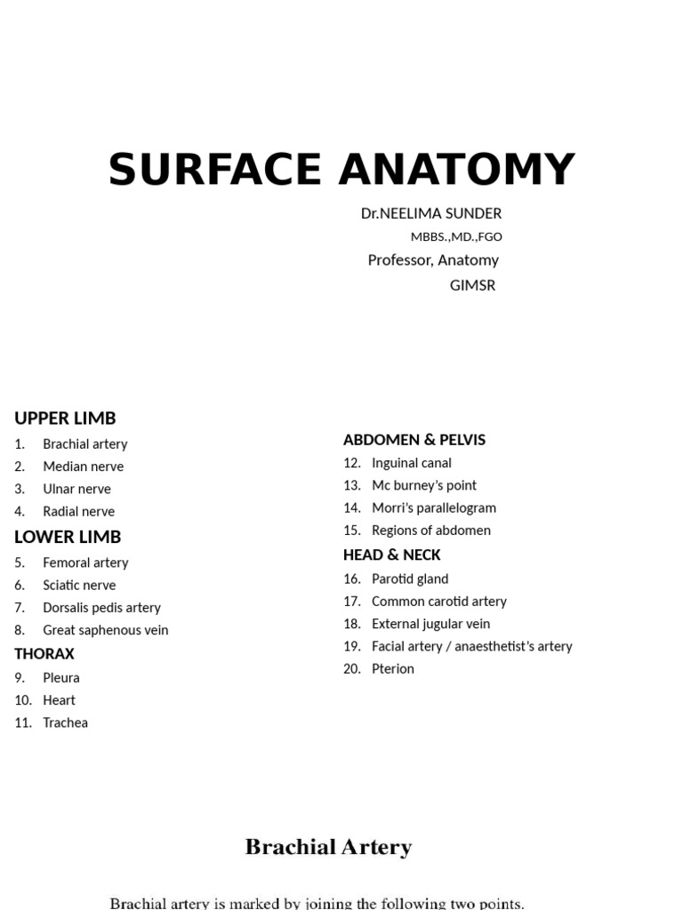 Surface Markings | PDF