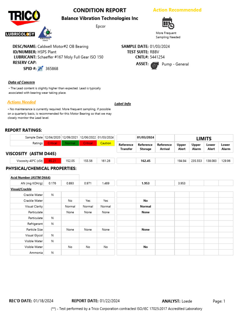 Condition Report | PDF
