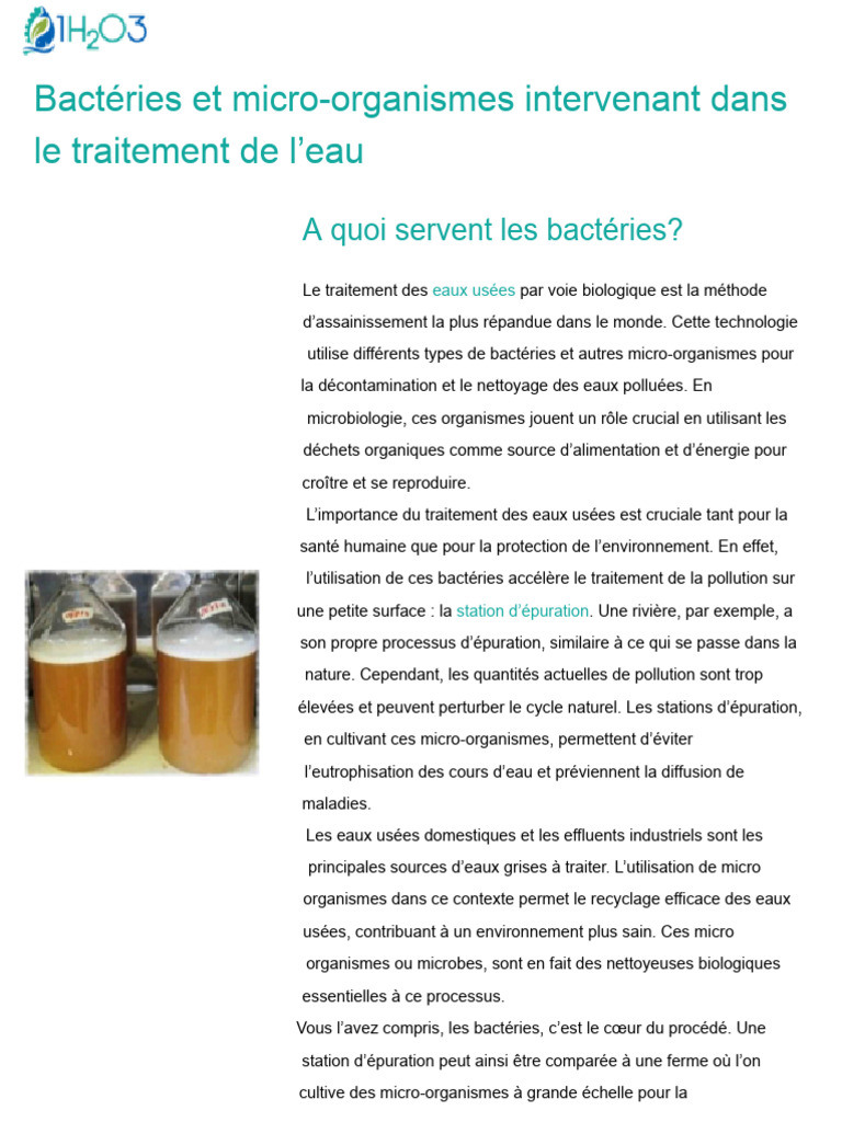 Comment Les Bactéries Purifient-Elles Les Eaux Usées | PDF