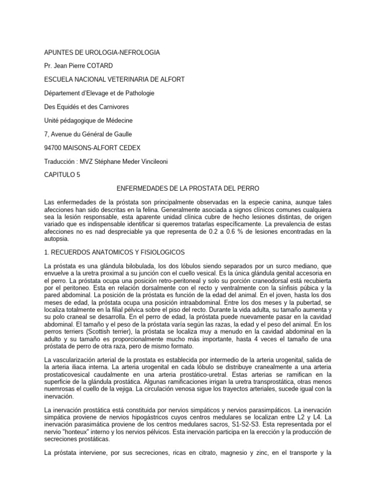 Uro 4 | PDF