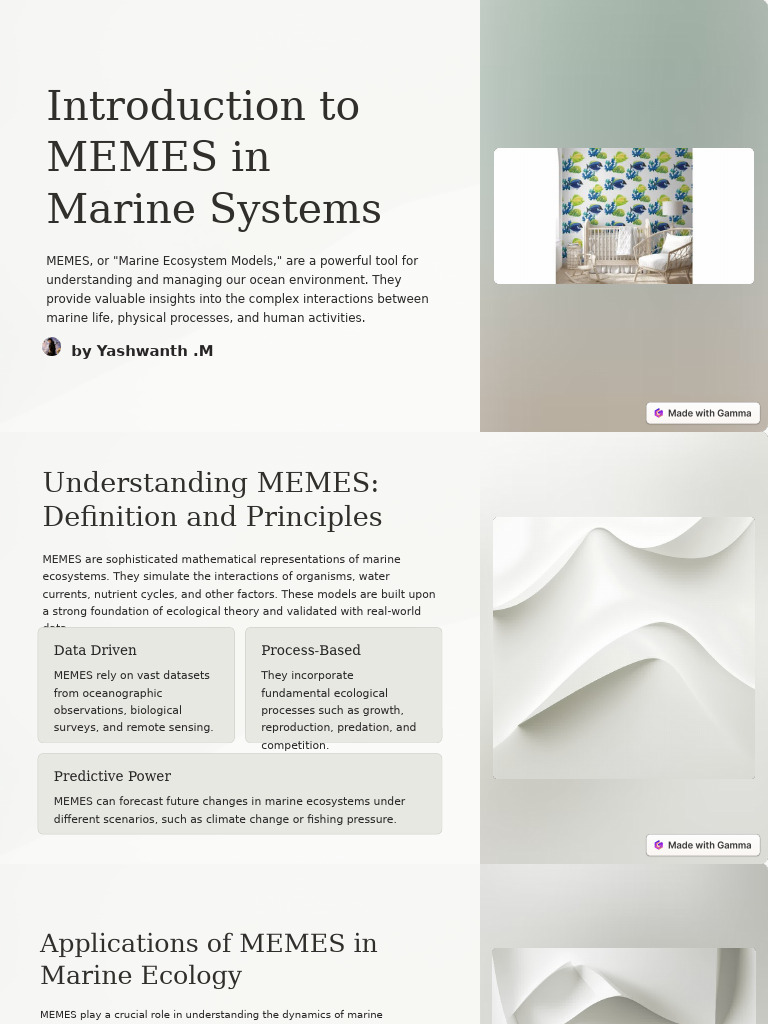 Introduction To MEMES in Marine Systems | PDF