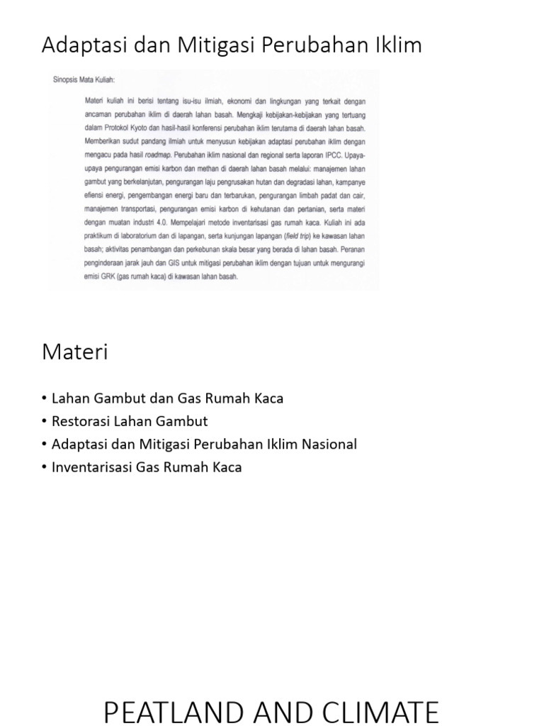 Peatland and Climate Change | PDF