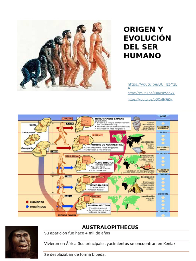 Origen y Evolución Del Ser Humano | PDF