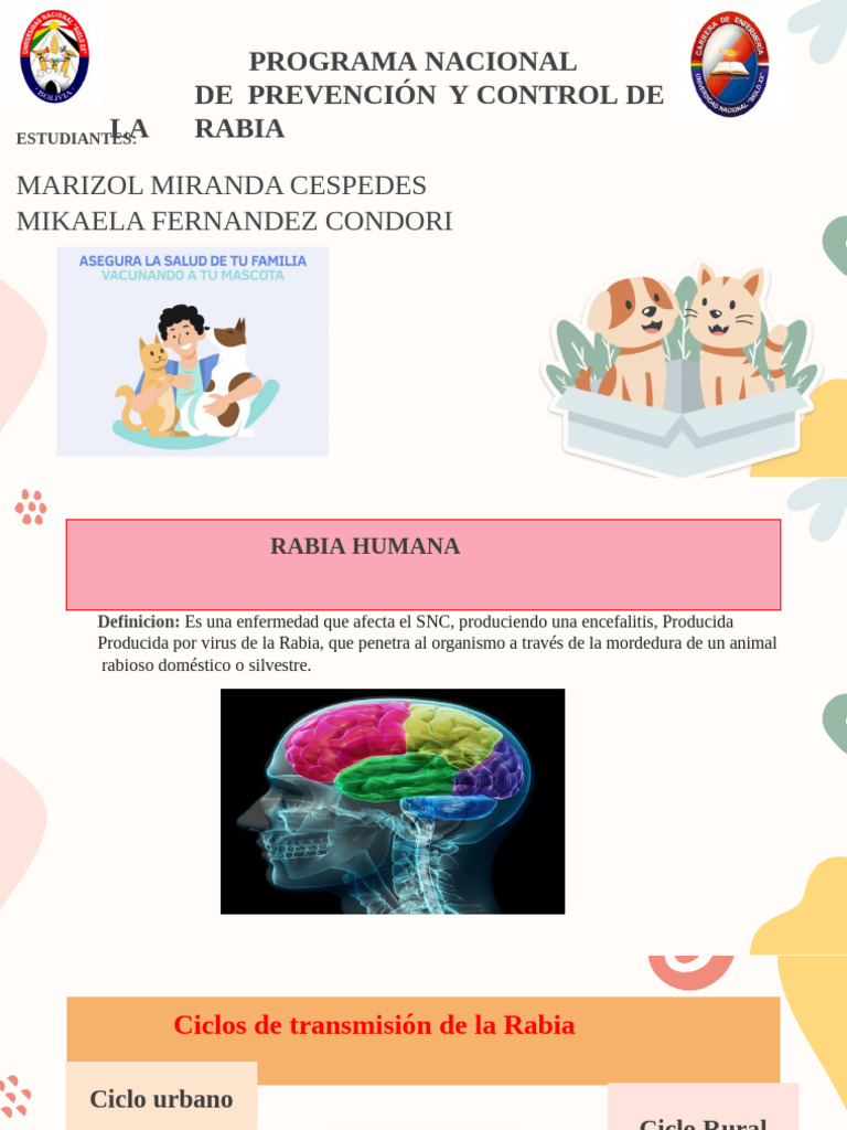 Rabia | PDF