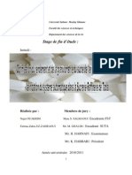 Rapport Final (2)