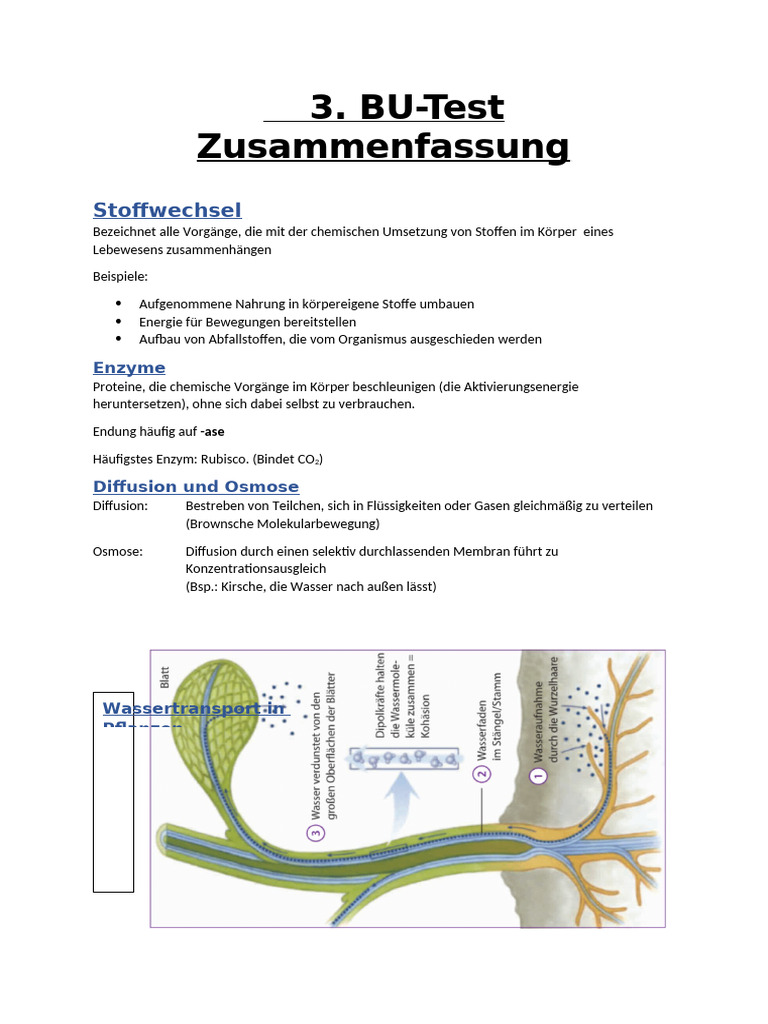 BU Test 3 Zusammenfassung | PDF