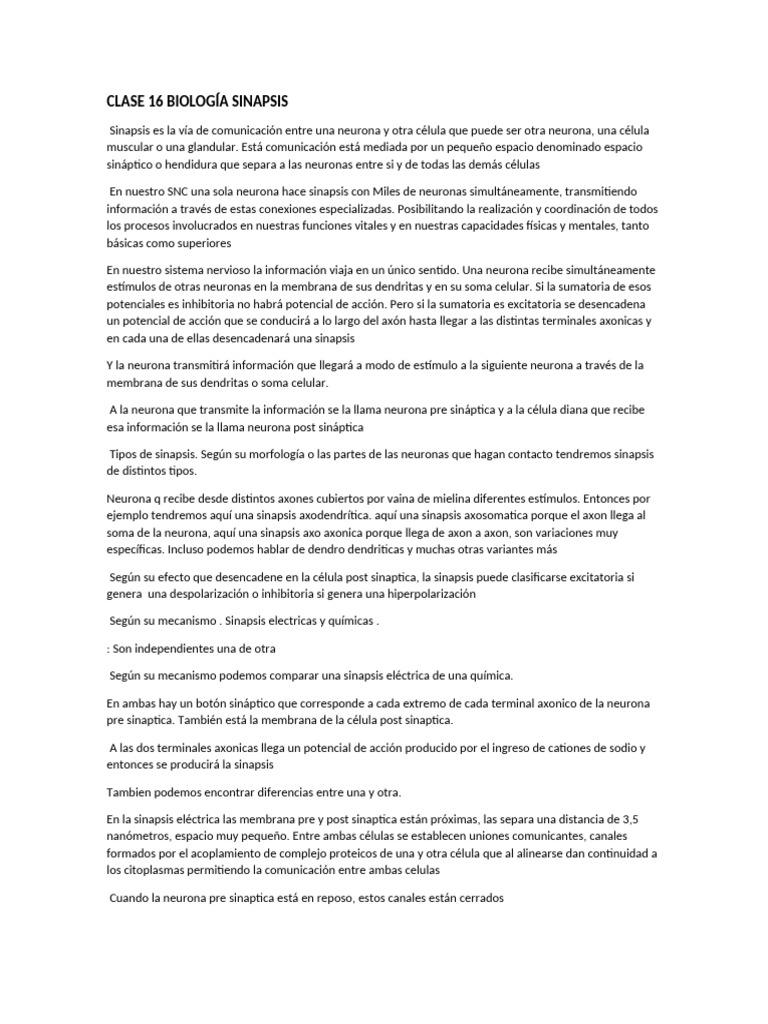 Clase 16 Biología Sinapsis | PDF