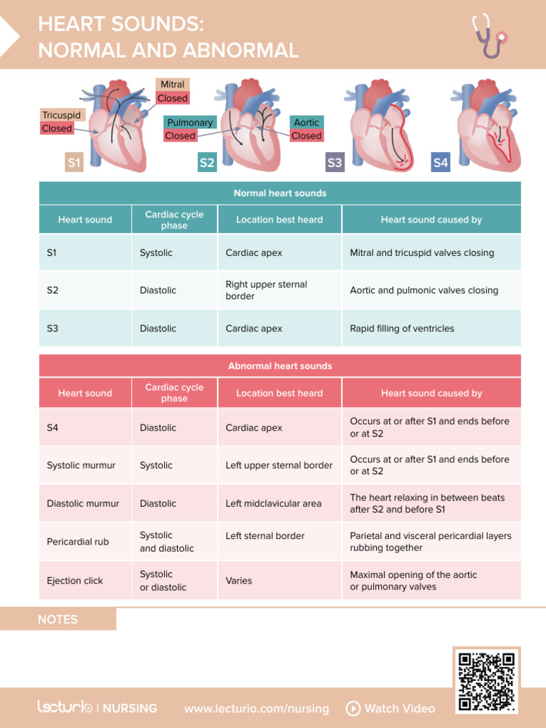 Nursing - CS - Heart Sounds Normal and Abnormal - 03 | PDF