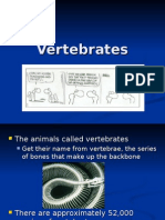 Vertebrates