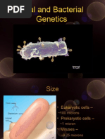 Download Viruses and Bacteria by zorbax SN7748251 doc pdf