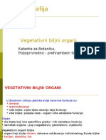 Vegetativni Biljni Organi.